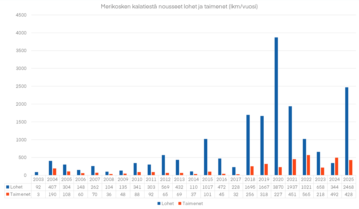 Merikoski_kalatie_taulukko.jpg