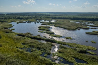Karjoneva_kosteikko_2.jpg