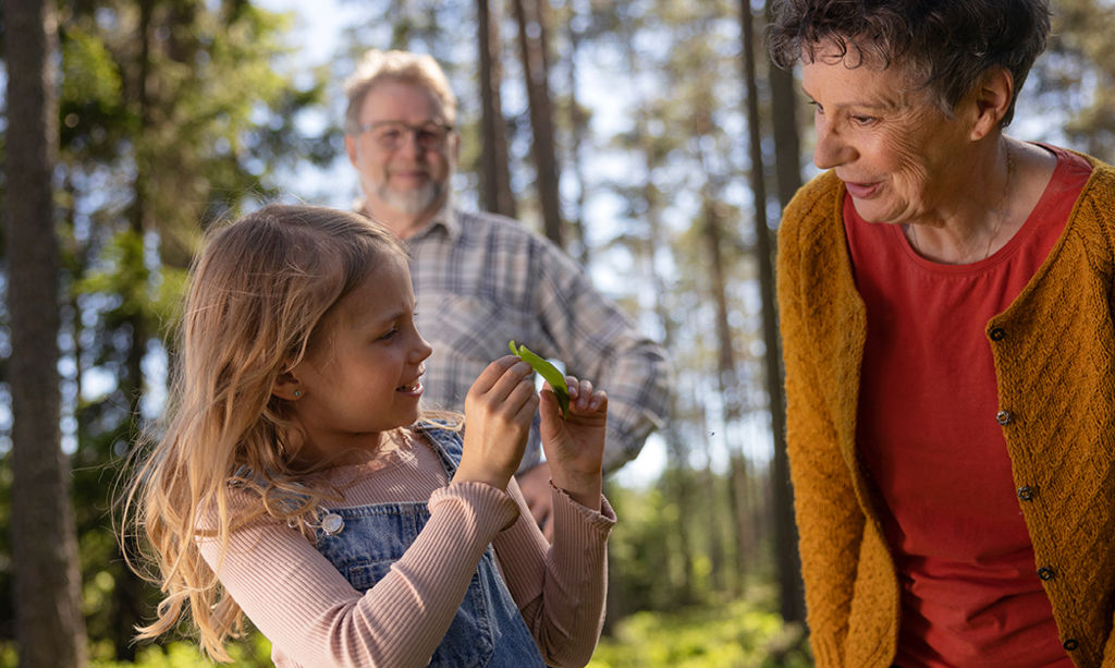 Lapsi ja isovanhemmat katsovat puusta tippunutta lehteä metsässä ja hymyilevät.